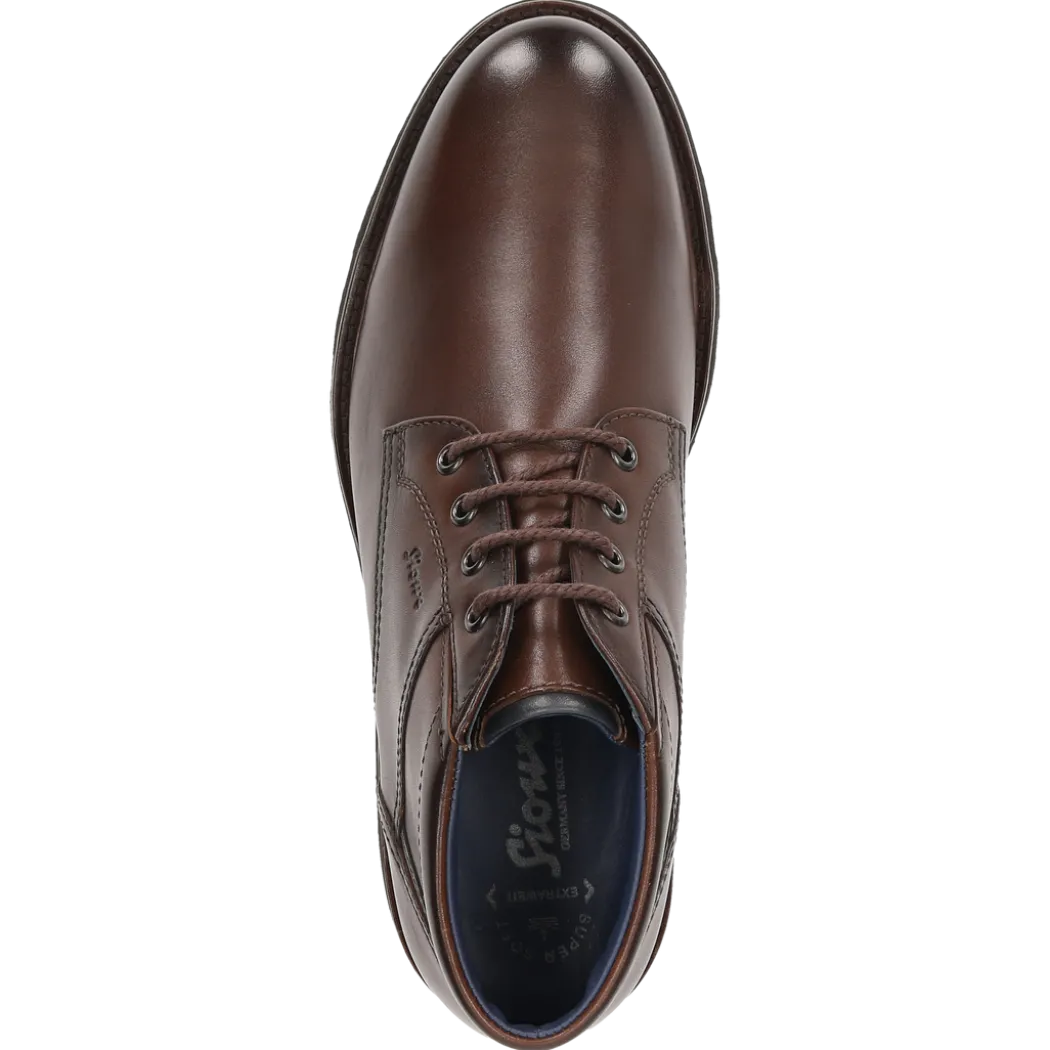 Dilip-718-H - braun