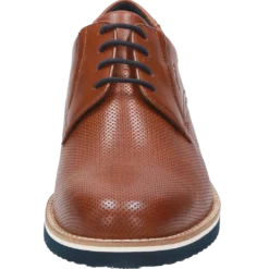 Dilip-701-H - braun