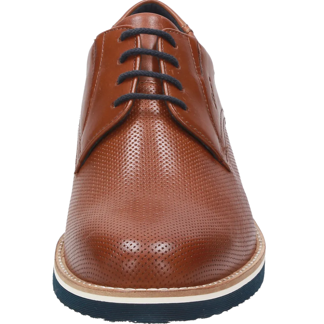 Dilip-701-H - braun
