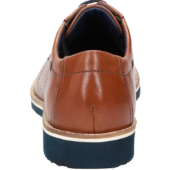 Dilip-701-H - braun