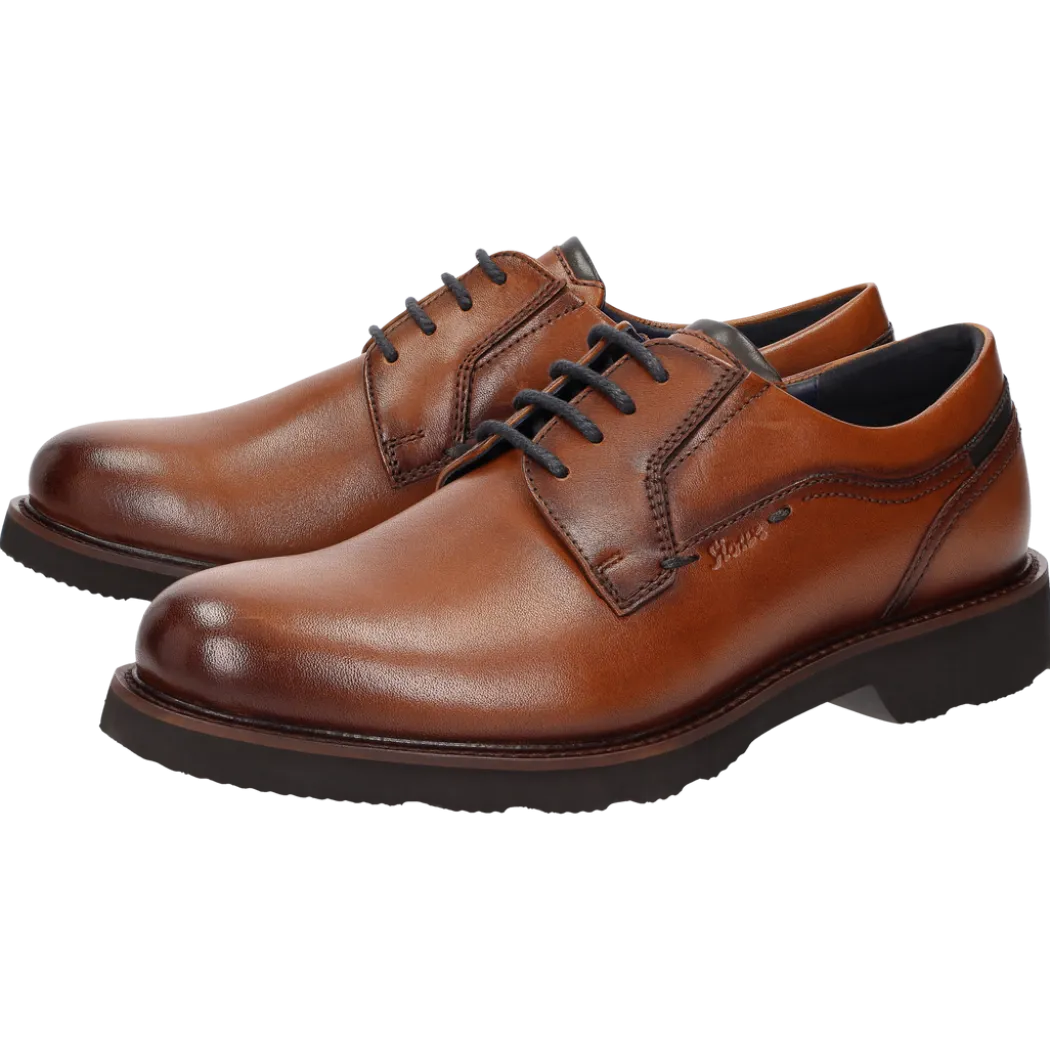 Dilip-716-H - cognac