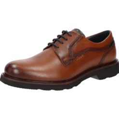 Dilip-716-H - cognac