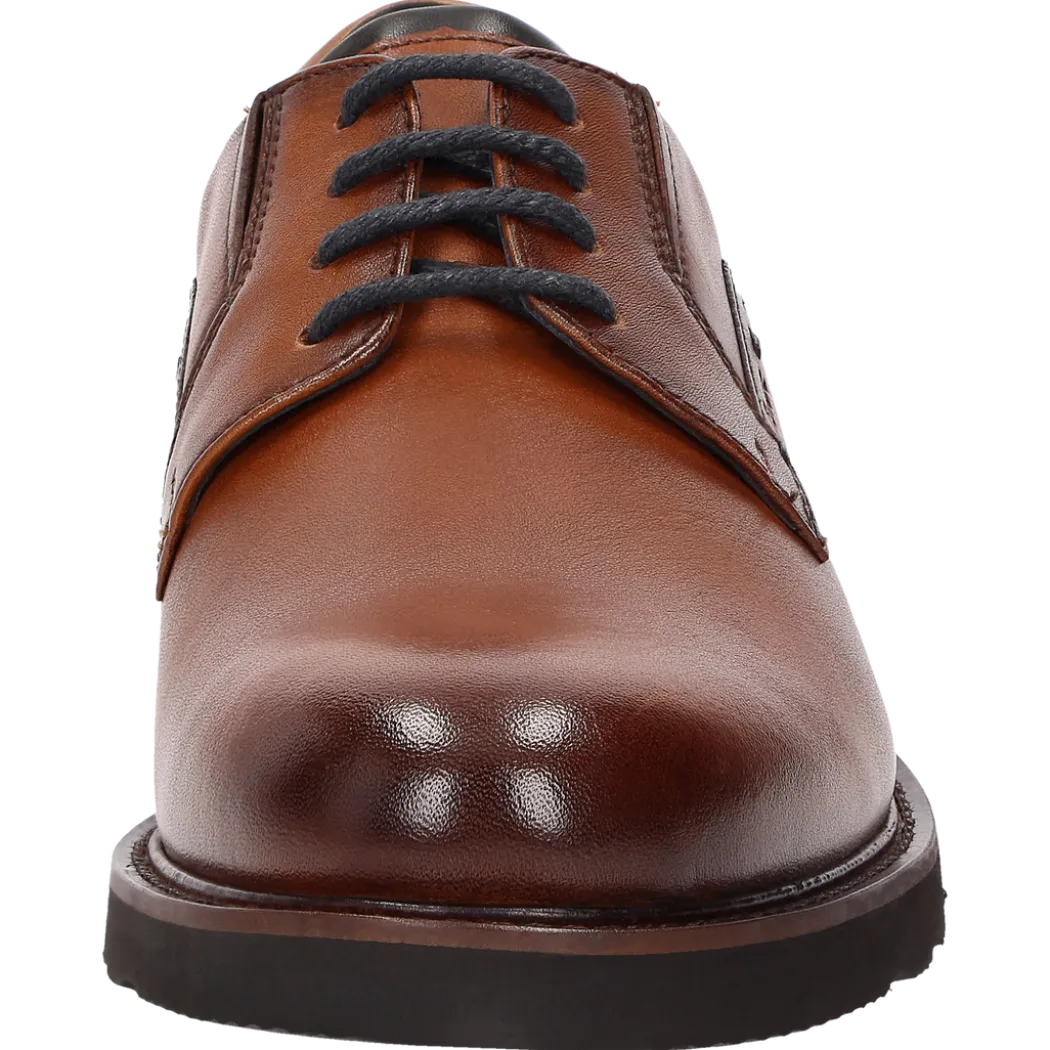 Dilip-716-H - cognac