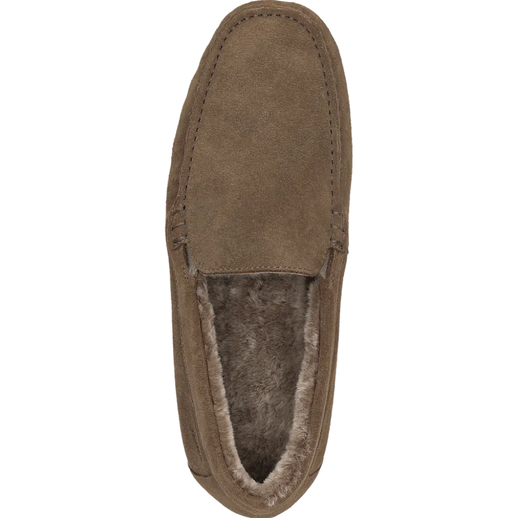 Farmilo-703-LF - braun