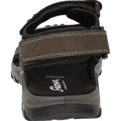 Oneglio-702 - braun