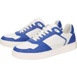 Tedroso-DA-700 - blau