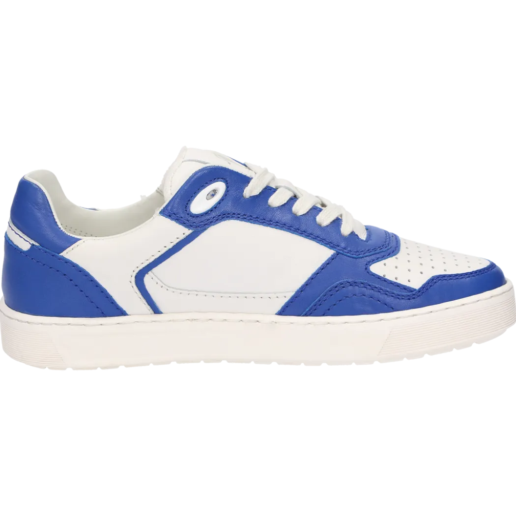 Tedroso-DA-700 - blau