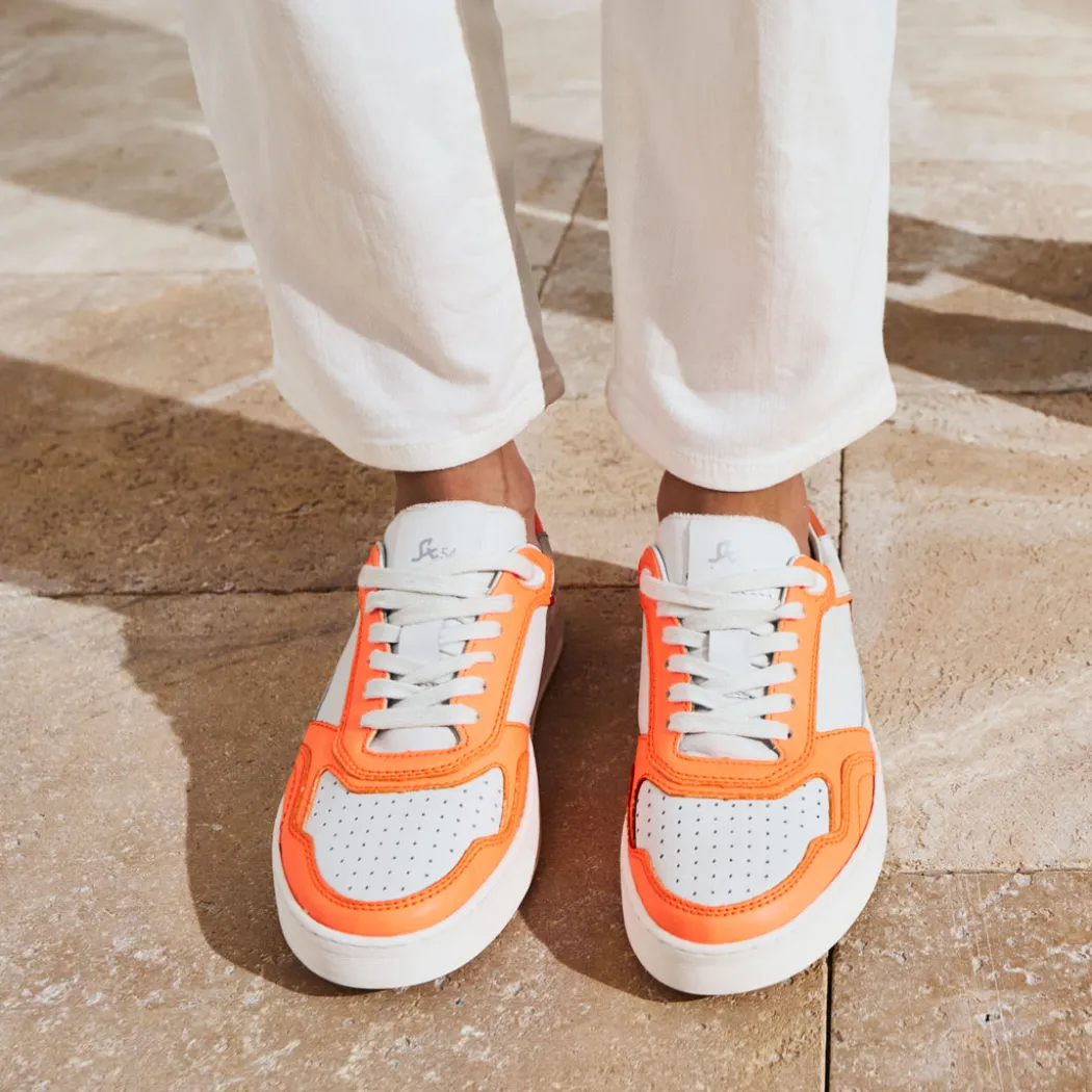 Tedroso-DA-700 - orange