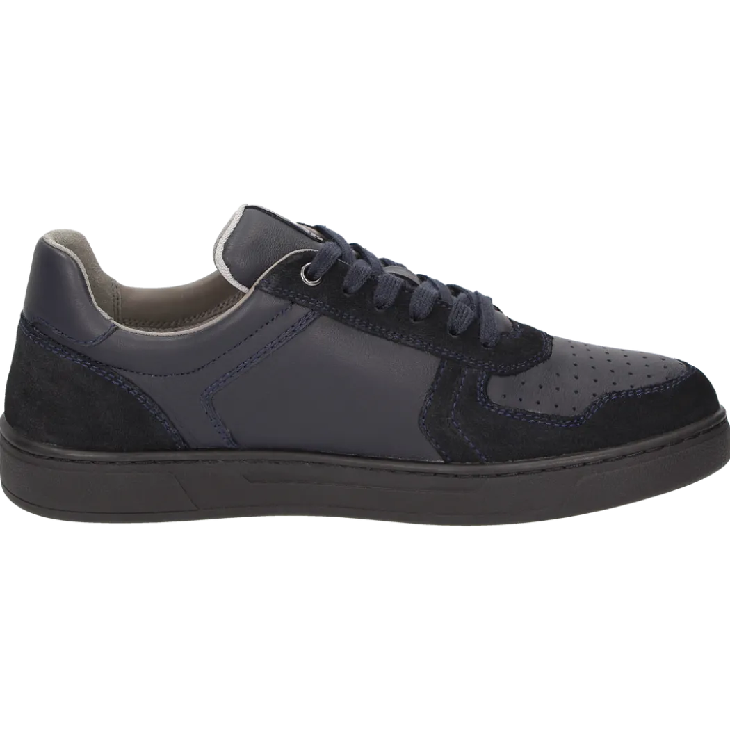 Tertulio-700-H - dunkelblau